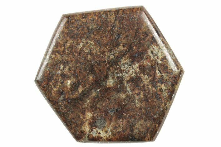 Stony Chondrite Cabochon ( grams) - Meteorite #238184